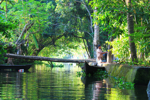 Enchanting Kerala